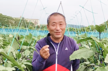 露地ナス農家の高橋さん